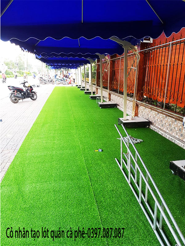 cỏ nhân tạo quán cà phê