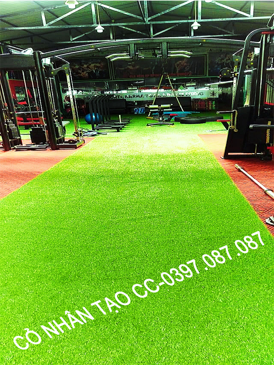 cỏ nhân tạo phòng gym