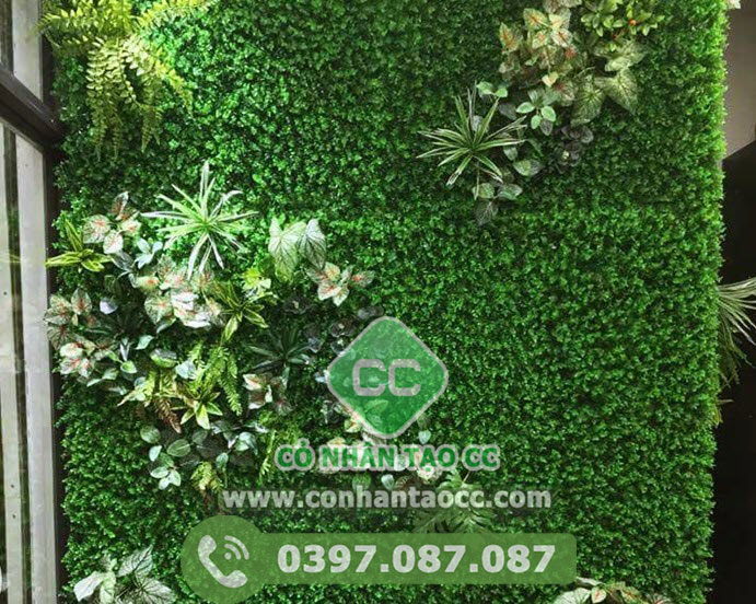 mảnh tường cỏ nhân tạo cc